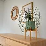Modernes 2-schlafzimmer Mit Rheinblick In Murg - Nahe Schweiz