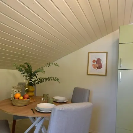 Neu Renoviertes Mit Rheinblick Apartamento Murg (Baden-Wurttemberg)