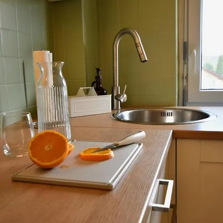 Modernes 2-schlafzimmer Mit Rheinblick In Murg - Nahe Schweiz Apartamento *