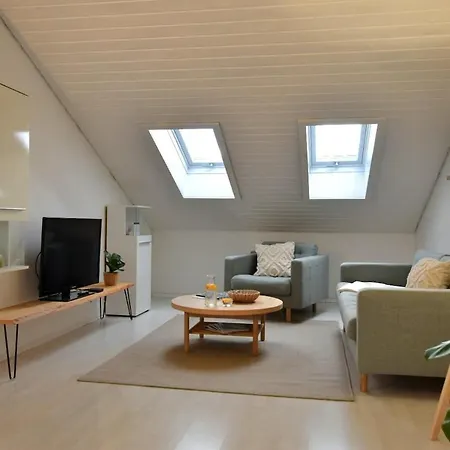 Appartement Modernes 2-schlafzimmer Mit Rheinblick In Murg - Nahe Schweiz Murg (Baden-Wurttemberg)