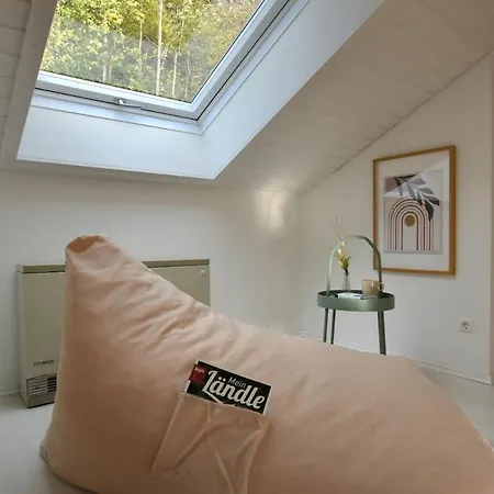 Modernes 2-schlafzimmer Mit Rheinblick In Murg - Nahe Schweiz Apartamento Murg (Baden-Wurttemberg)