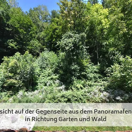 Appartement Modernes 2-schlafzimmer Mit Rheinblick In Murg - Nahe Schweiz *