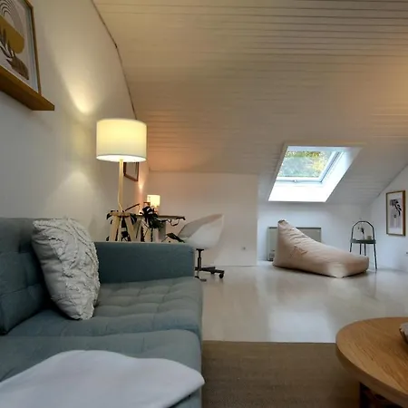Modernes 2-schlafzimmer Mit Rheinblick In Murg - Nahe Schweiz