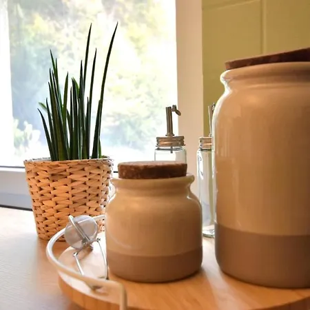 Appartement Modernes 2-schlafzimmer Mit Rheinblick In Murg - Nahe Schweiz Murg (Baden-Wurttemberg)