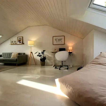 Modernes 2-schlafzimmer Mit Rheinblick In Murg - Nahe Schweiz Appartement *