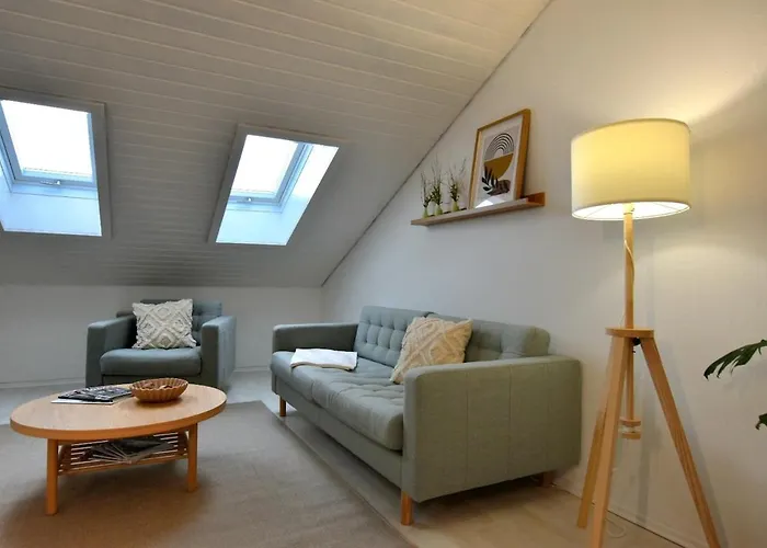 Apartamento Neu Renoviertes Mit Rheinblick *