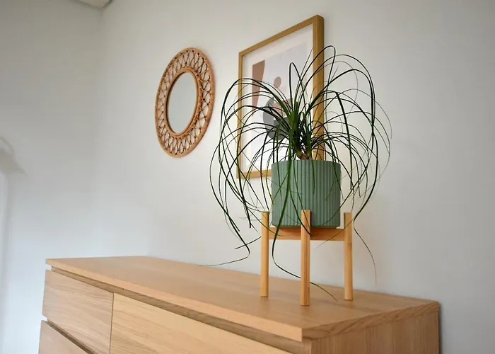 Neu Renoviertes Mit Rheinblick