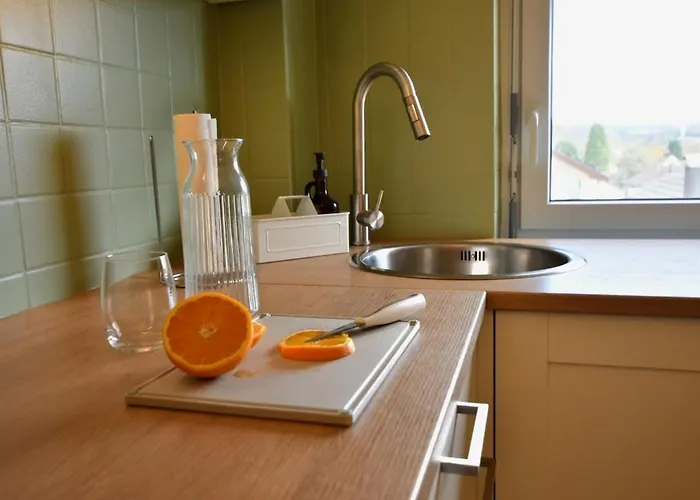 Neu Renoviertes Mit Rheinblick Apartamento *