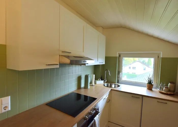 Apartamento Neu Renoviertes Mit Rheinblick *