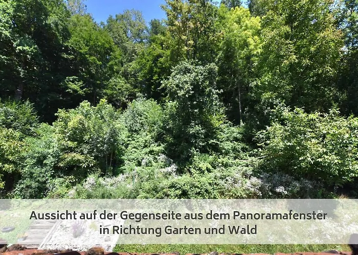 Apartamento Neu Renoviertes Mit Rheinblick *