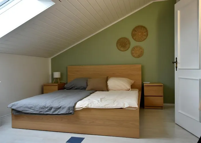 Apartamento Neu Renoviertes Mit Rheinblick *