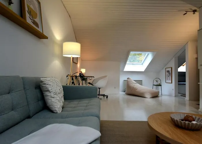 Neu Renoviertes Mit Rheinblick