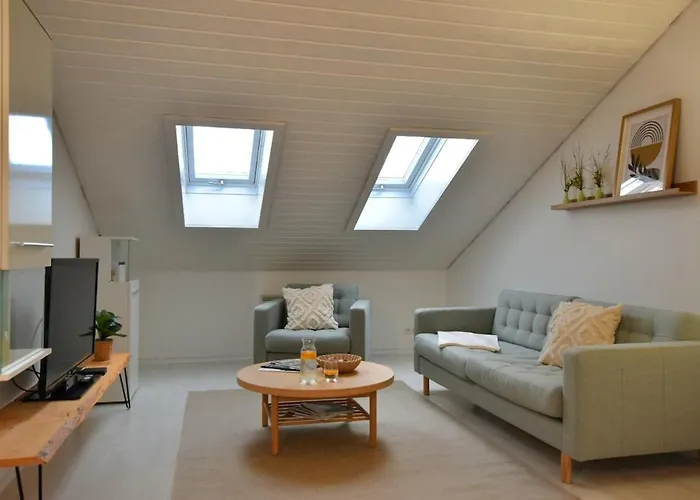 Neu Renoviertes Mit Rheinblick *