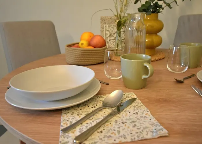 Neu Renoviertes Mit Rheinblick Apartamento *