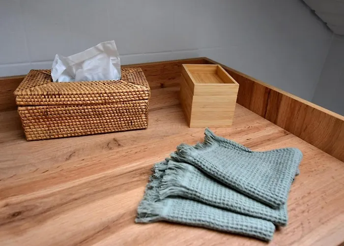 Neu Renoviertes Mit Rheinblick